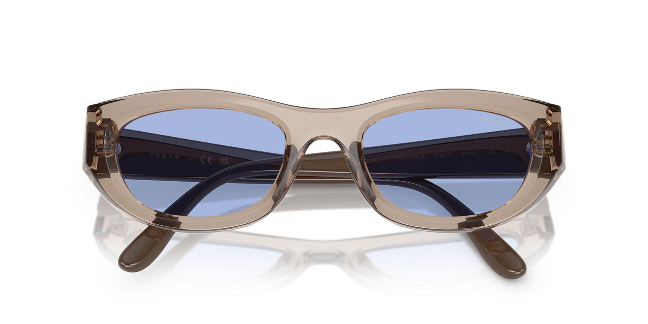 318172 - Brown - Blue