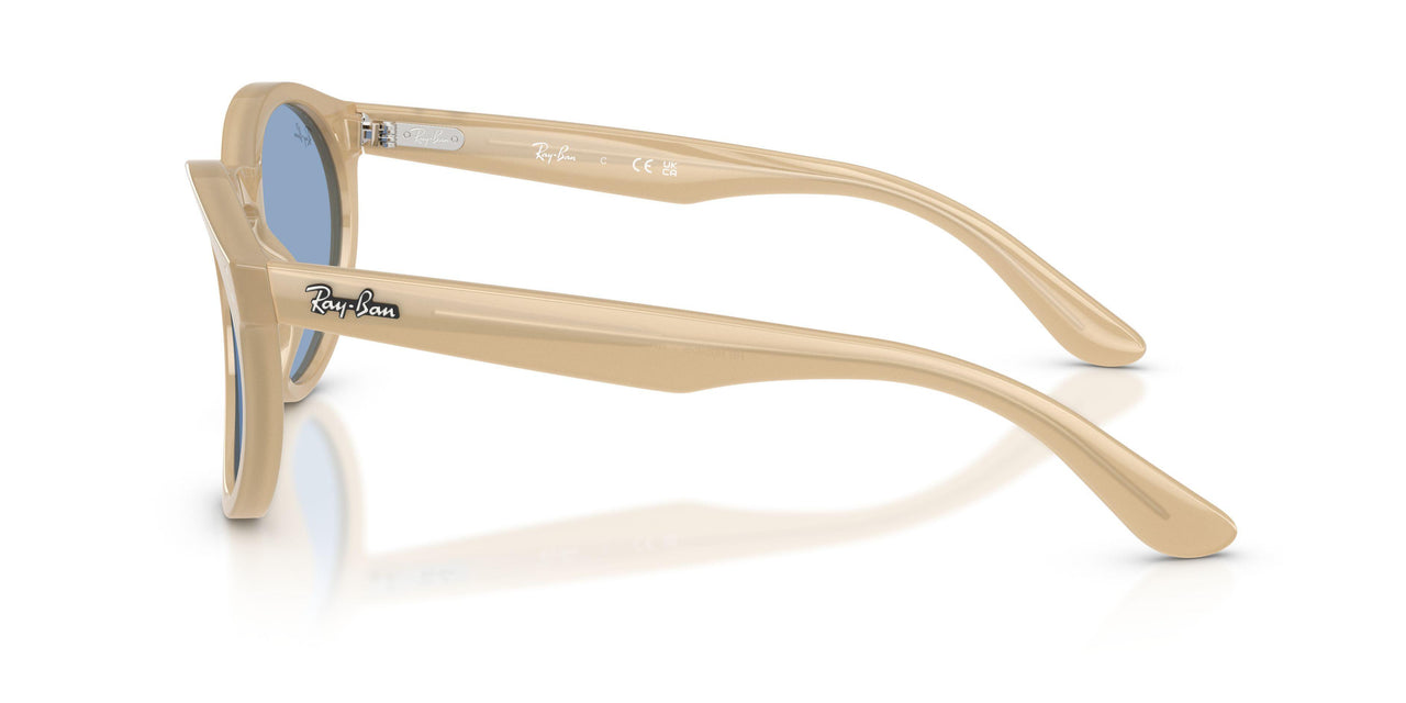 678072 - Brown - Light Blue