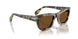 107157 - Tortoise - Brown Polar