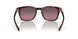 200219 - Tortoise - Rose Gradient