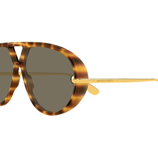 005 - Havana/Gold - Brown