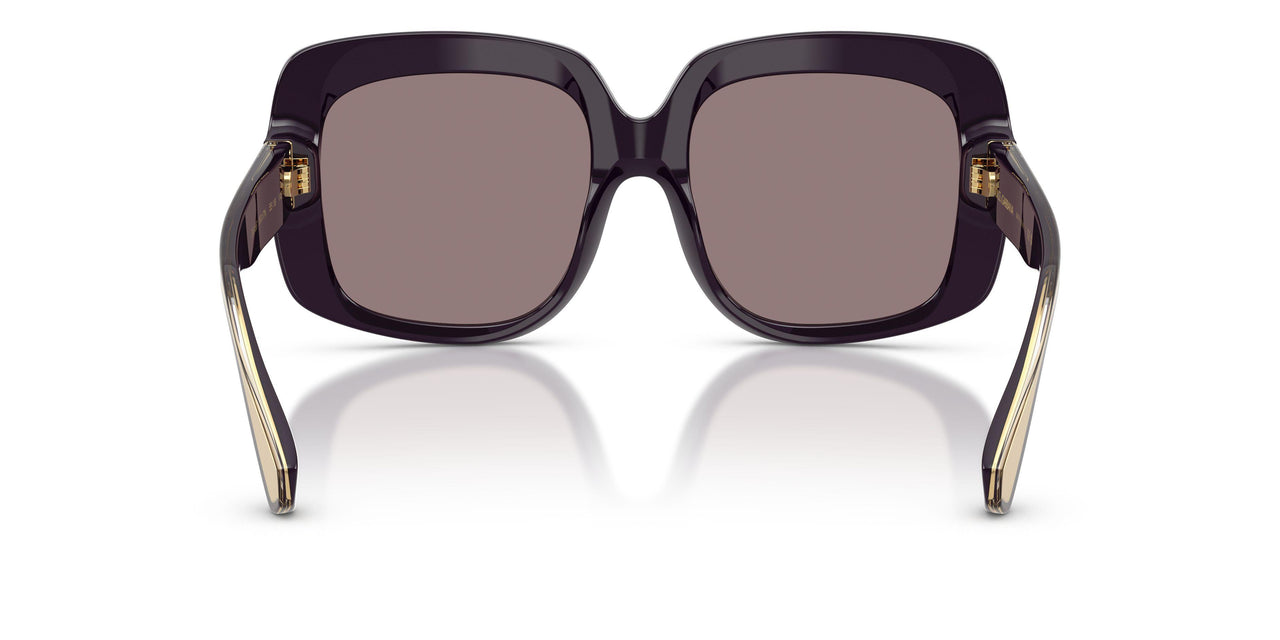 35017N - Violet - Dark Purple