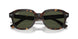 902/31 - Tortoise - Green
