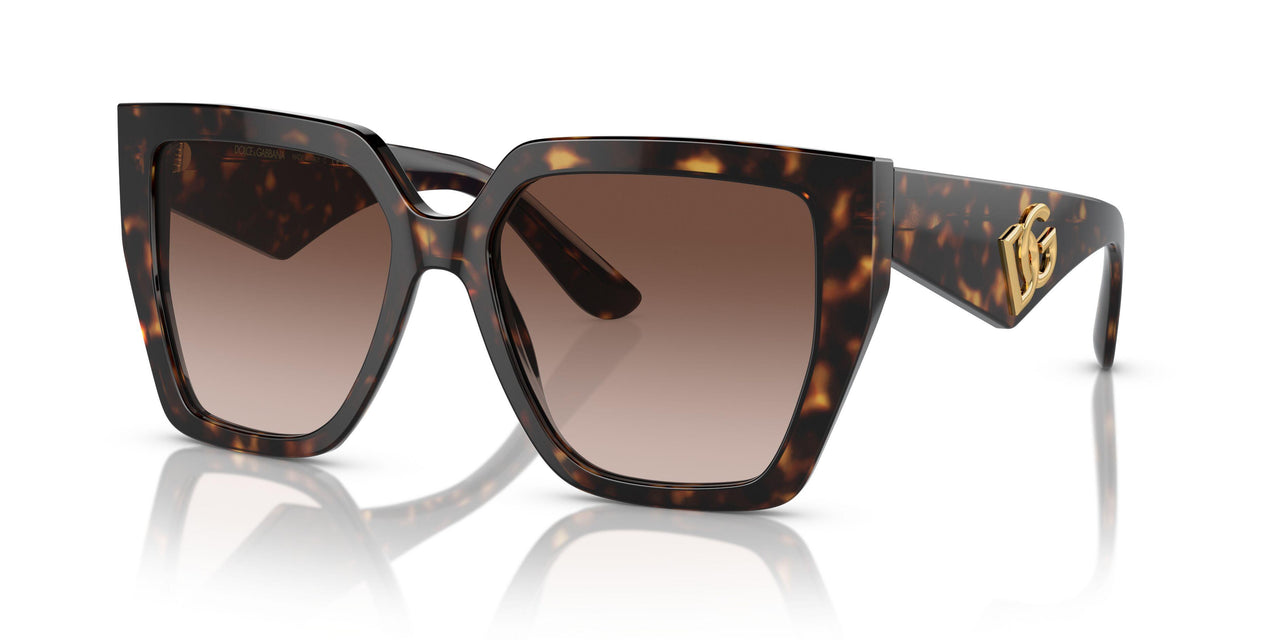 502/13 - Tortoise - Gradient Brown