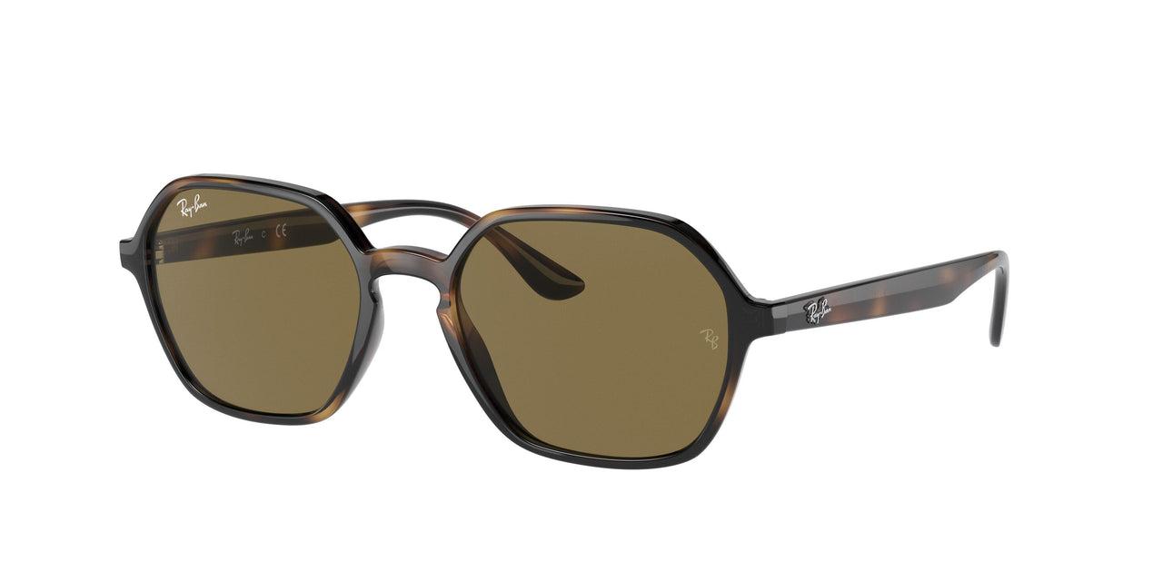Ray-Ban 4361F Sunglasses