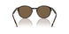 W65673 - Havana - Dark Brown