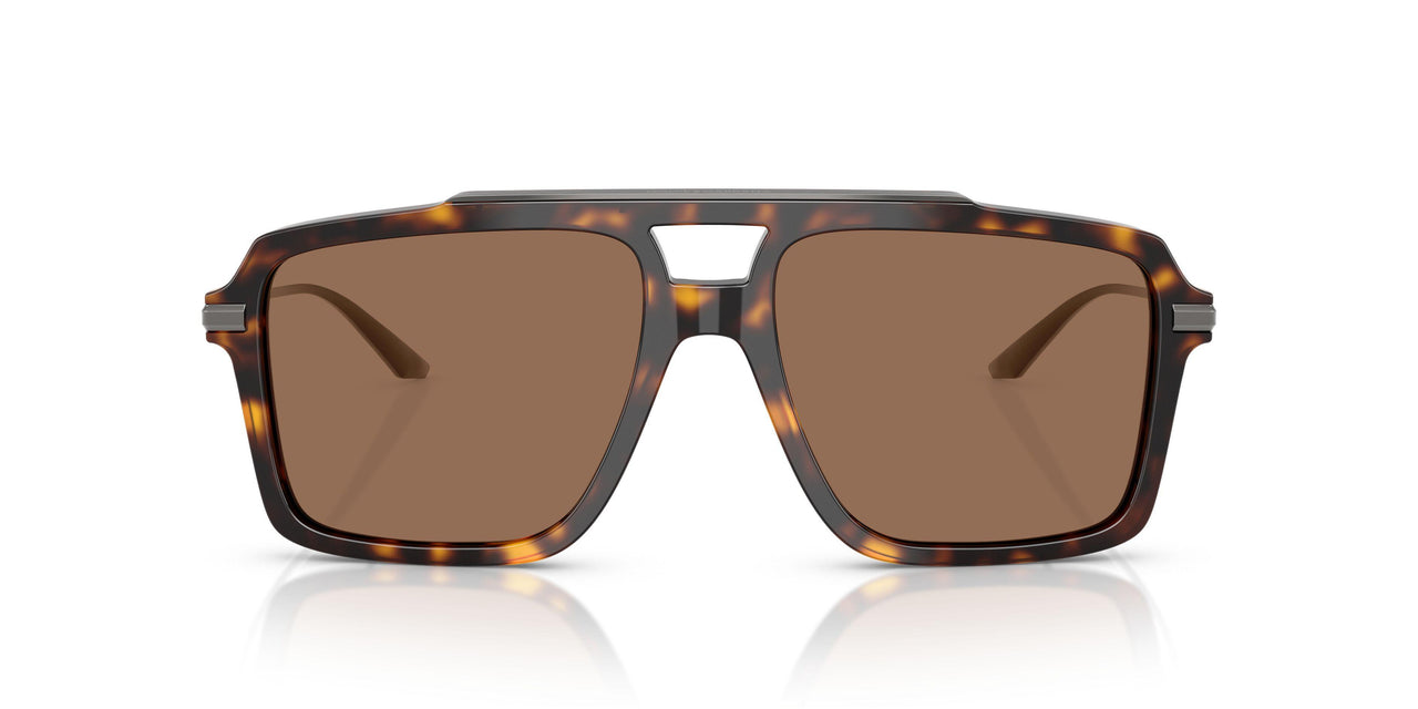 502/73 - Tortoise - Dark Brown