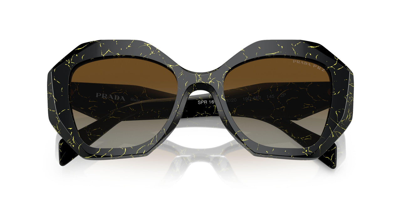 19D6E1 - Black - Polar Brown Gradient