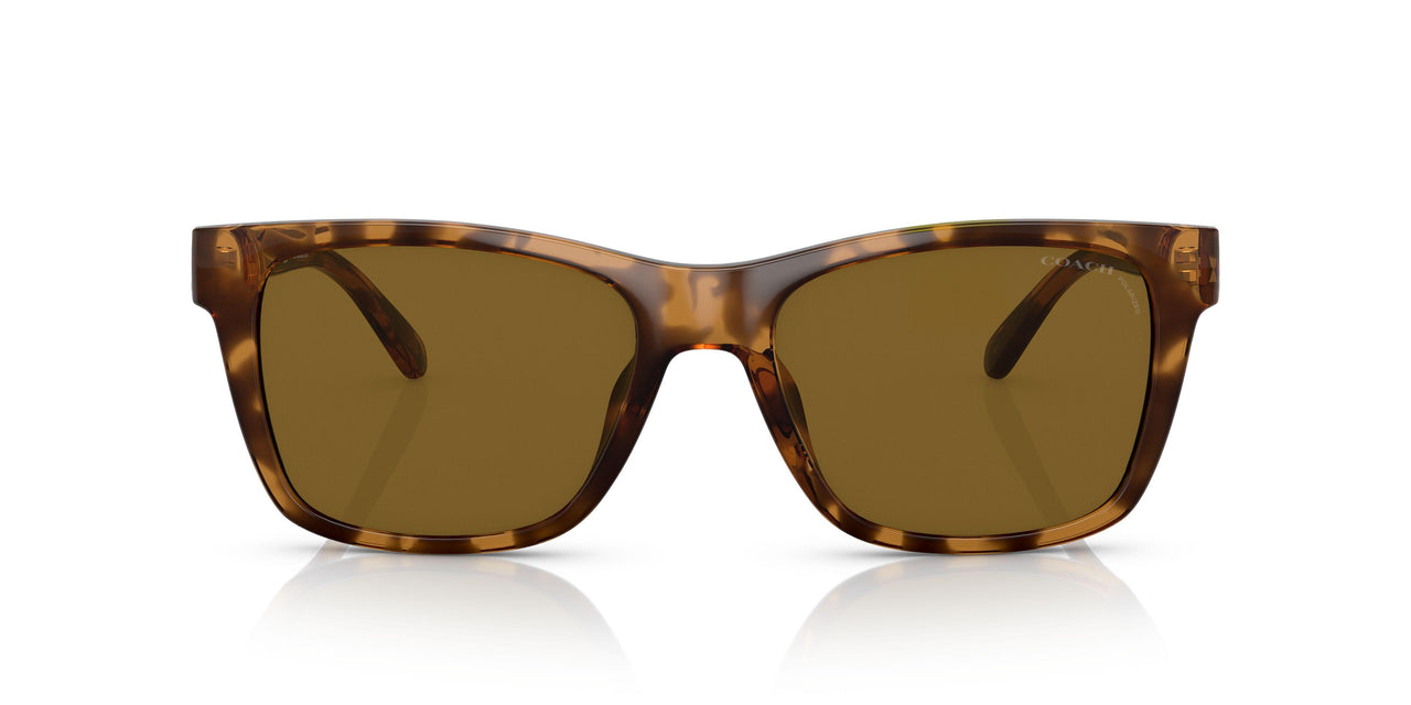 512083 - Havana - Dark Brown Polar