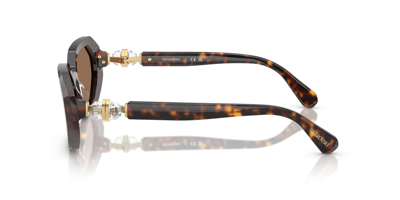 100273 - Brown - Dark Brown