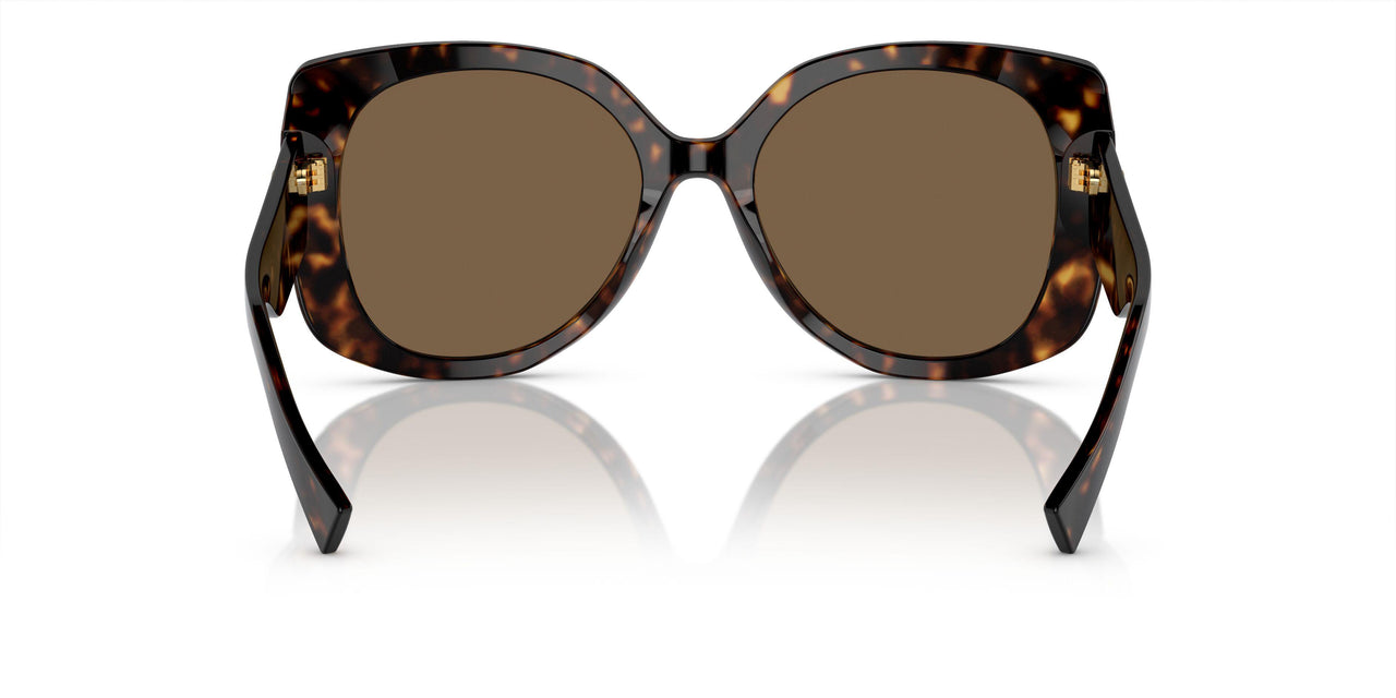 108/73 - Havana - Brown