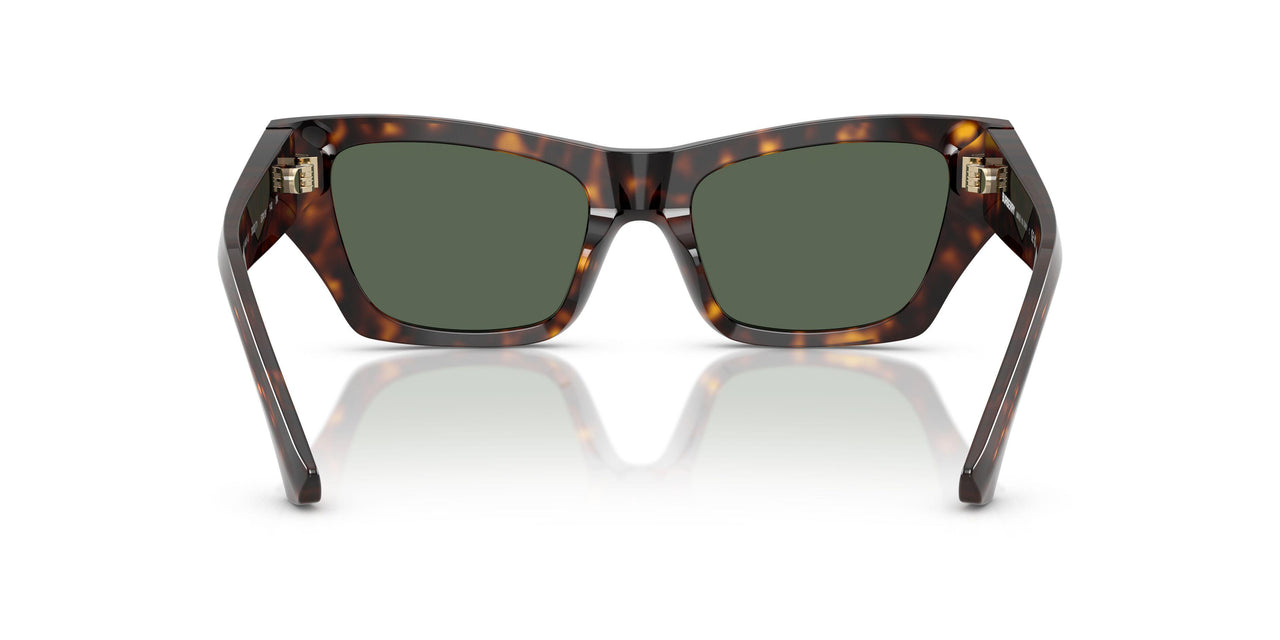 300271 - Brown - Dark Green