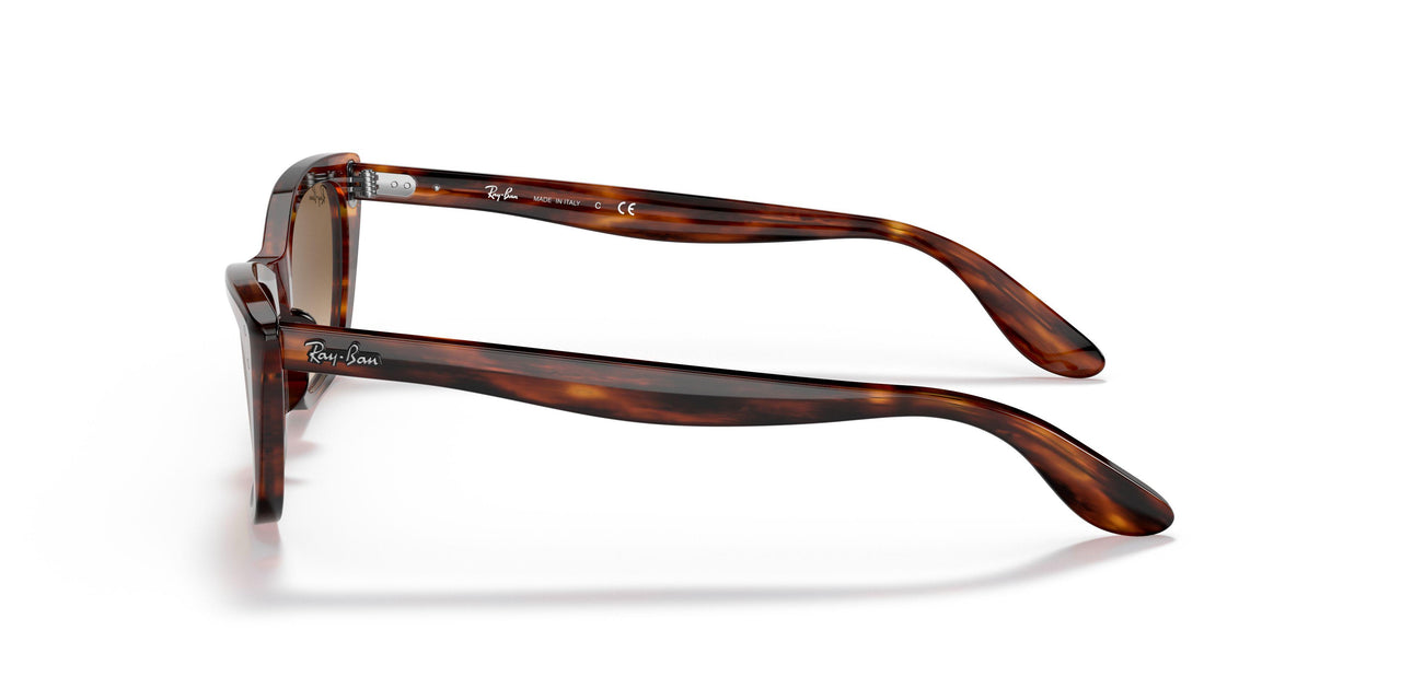 954/51 - Havana - Clear Gradient Brown