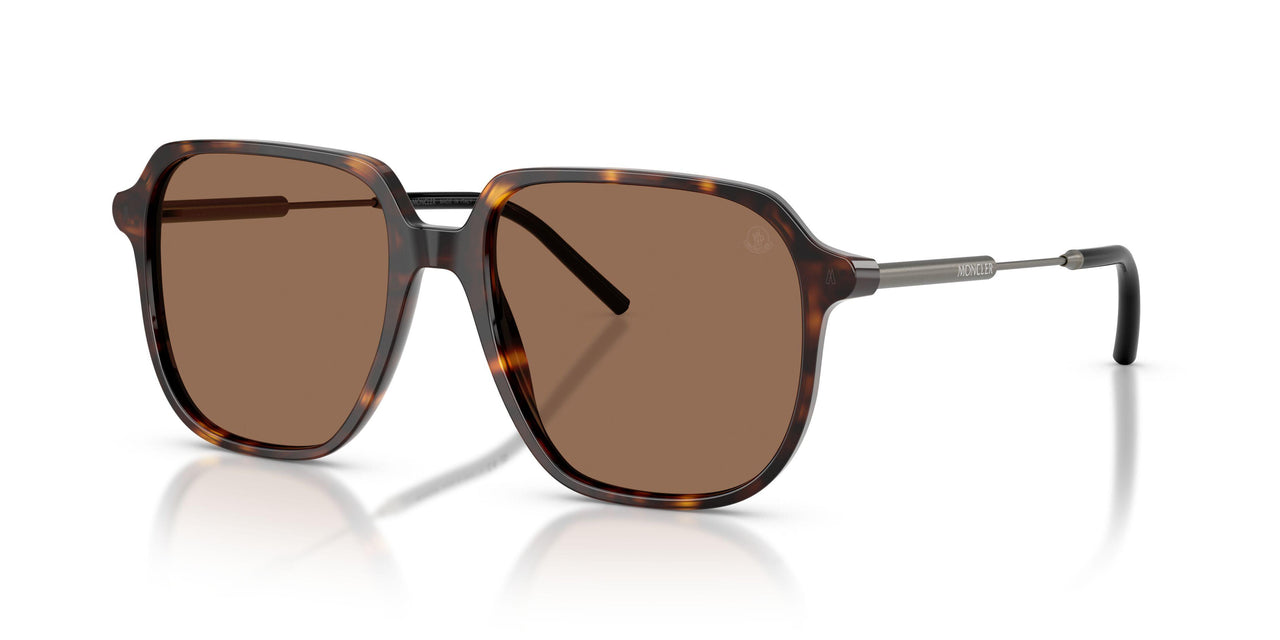 300273 - Tortoise - Brown Solid