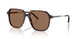 300273 - Tortoise - Brown Solid