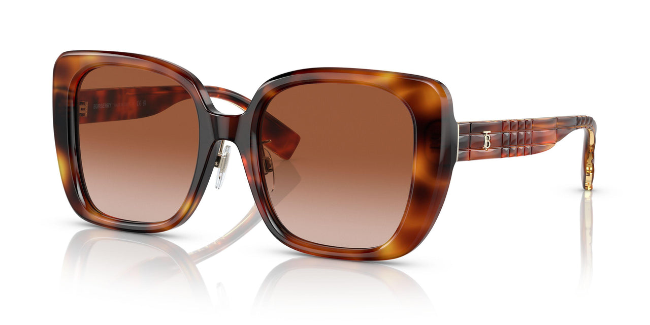 331613 - Havana - Brown Gradient