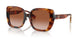 331613 - Havana - Brown Gradient