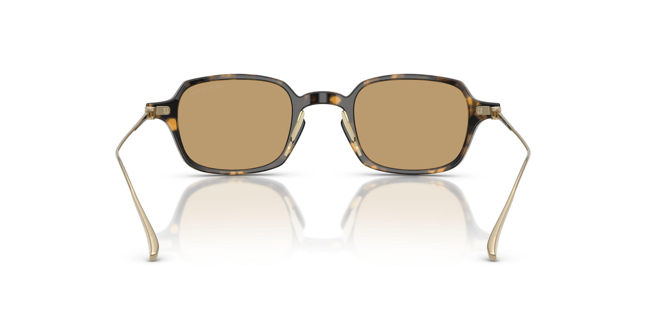 620773 - Tortoise - Brown
