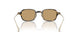 620773 - Tortoise - Brown