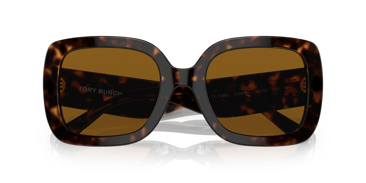 172883 - Havana - Solid Brown Polar