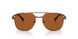 112453 - Brown - Light Brown
