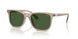 620171 - Brown - Bottle Green