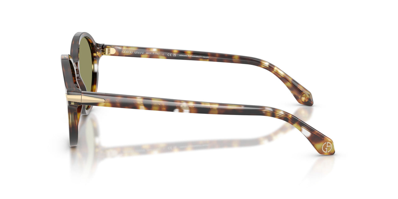623214 - Tortoise - Green