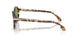 623214 - Tortoise - Green