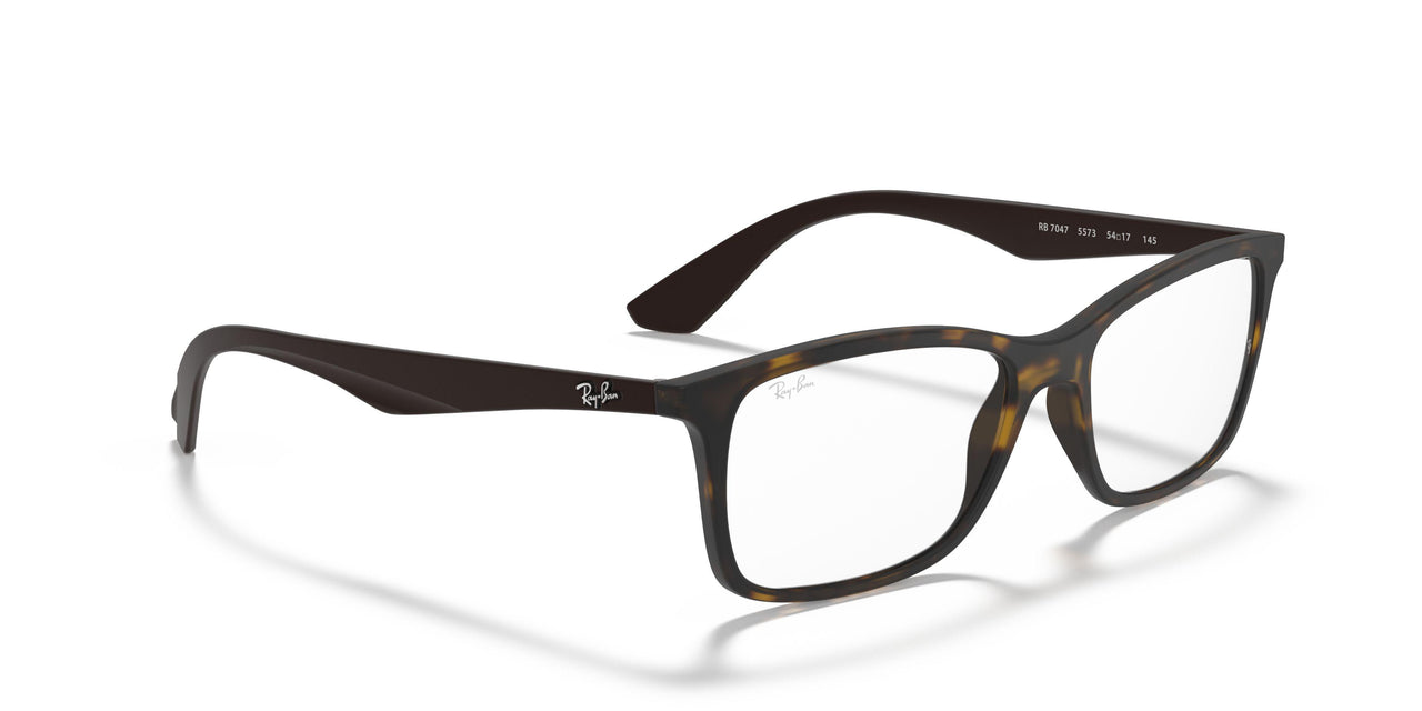5573 - Tortoise - Clear