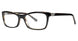 Black - Black/tortoise