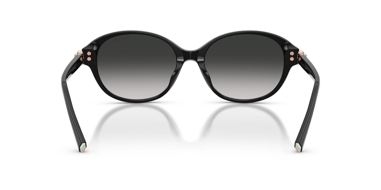 80013C - Black - Grey Gradient