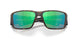 907815 - Tortoise - Green Mirror