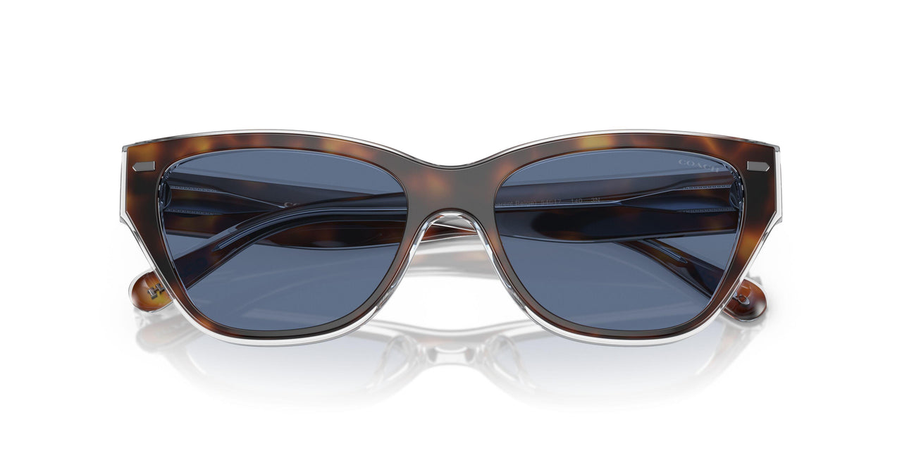 574280 - Tortoise - Blue Solid