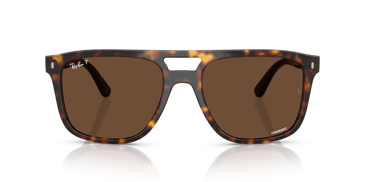 902/AN - Tortoise - Polar Brown