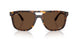 902/AN - Tortoise - Polar Brown