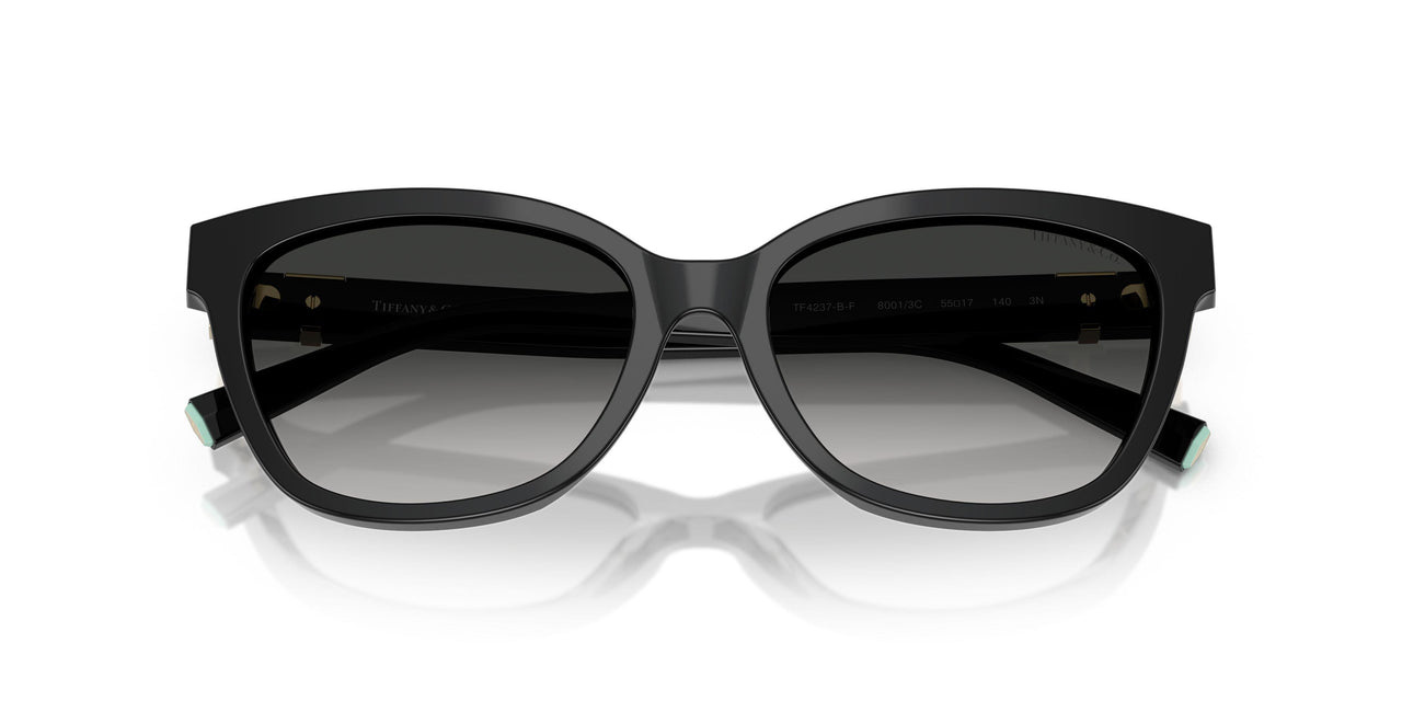 80013C - Black - Grey Gradient