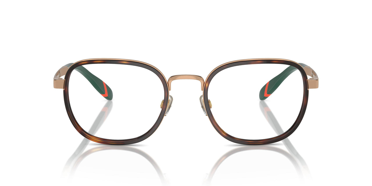 9449 - Tortoise