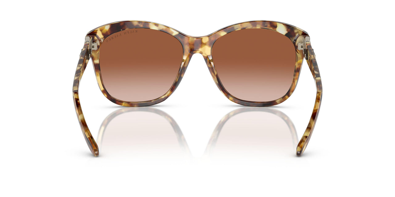 605613 - Tortoise - Gradient Brown