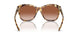 605613 - Tortoise - Gradient Brown