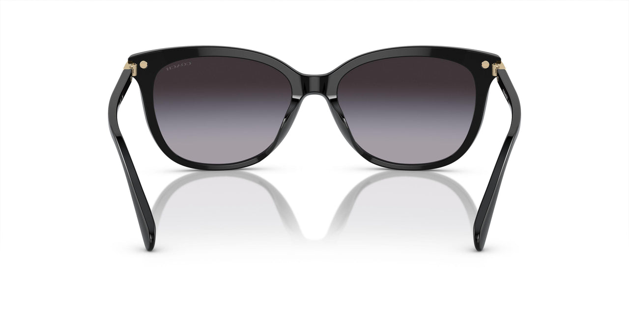 50028G - Black - Grey Gradient