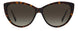 0086-HA - HAVANA - Brown Gradient