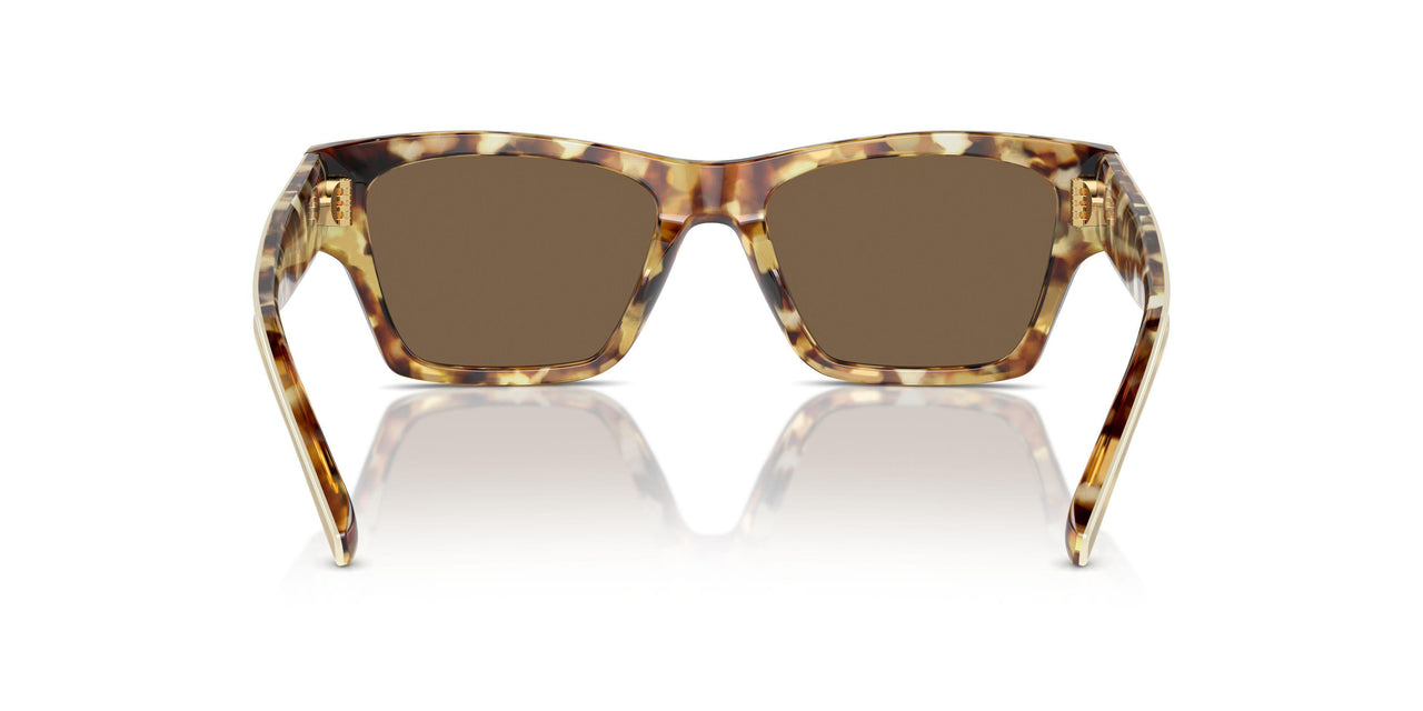 199873 - Tortoise - Dark Brown
