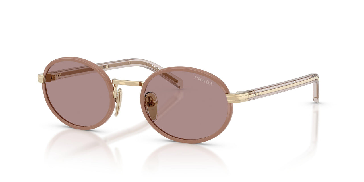 24E20I - Brown - Light Purple Brown