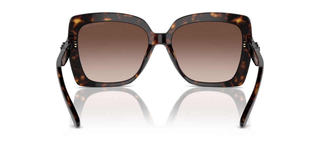 300613 - Tortoise - Brown Gradient