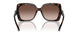 300613 - Tortoise - Brown Gradient
