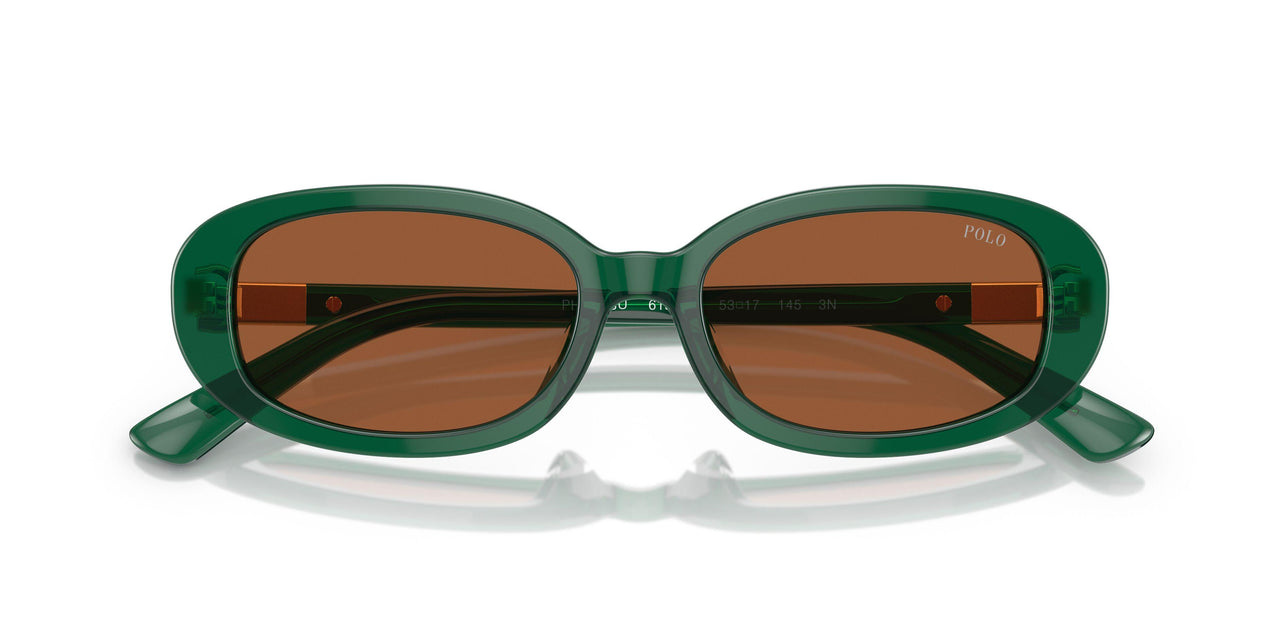 619573 - Green - Brown
