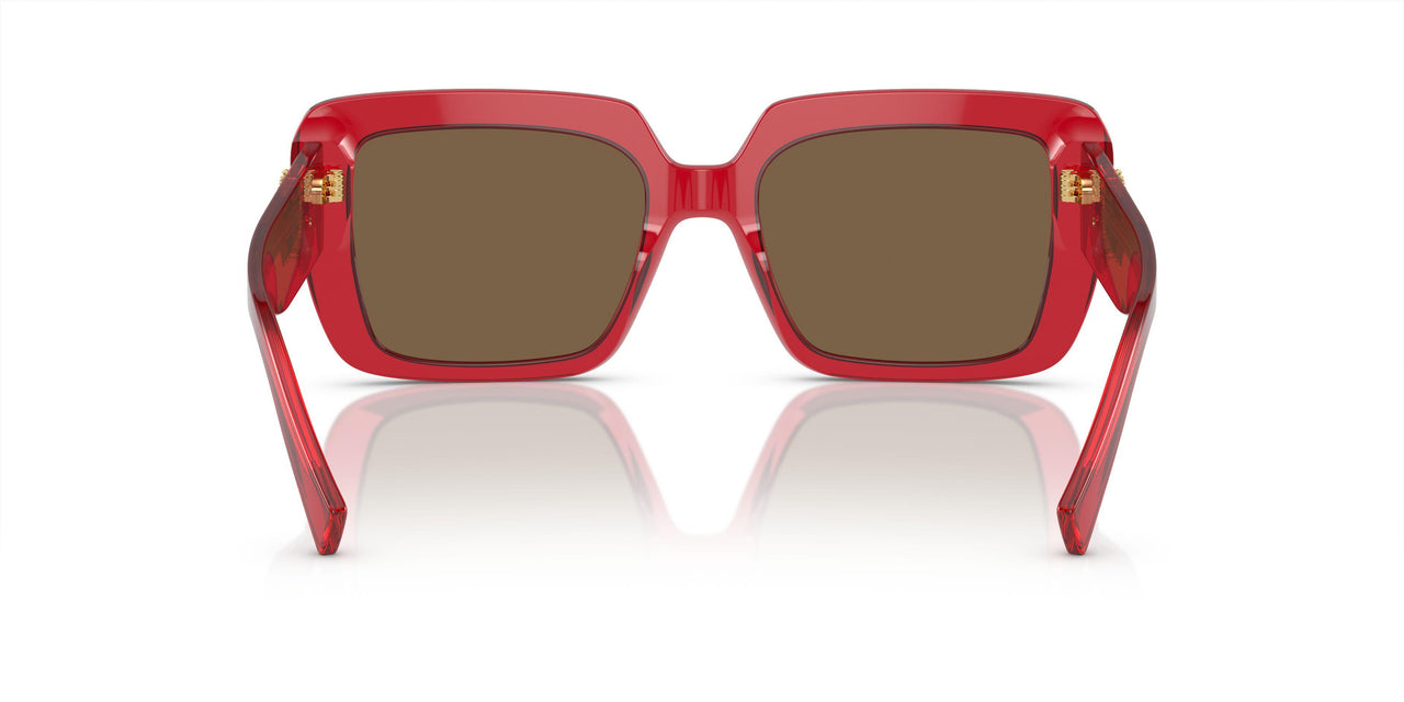 528073 - Red - Brown