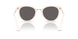 W65613 - Brown Gradient