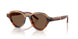 633973 - Brown - Brown