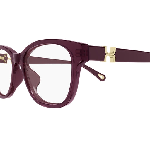 005 - Burgundy/Red - Transparent